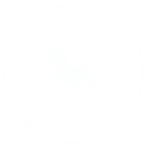 NSID Logo White